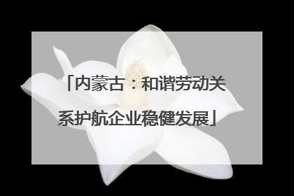 内蒙古：和谐劳动关系护航企业稳健发展