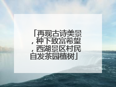 再现古诗美景，种下致富希望，西湖景区村民自发茶园植树