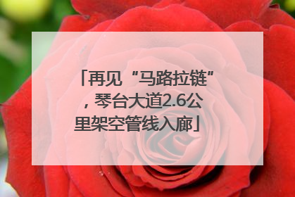 再见“马路拉链”，琴台大道2.6公里架空管线入廊