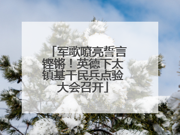 军歌嘹亮誓言铿锵！英德下太镇基干民兵点验大会召开