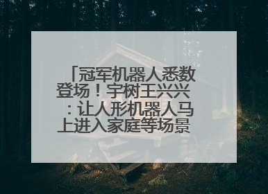 冠军机器人悉数登场！宇树王兴兴：让人形机器人马上进入家庭等场景并不现实