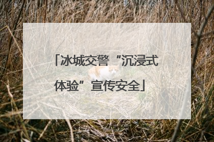 冰城交警“沉浸式体验”宣传安全