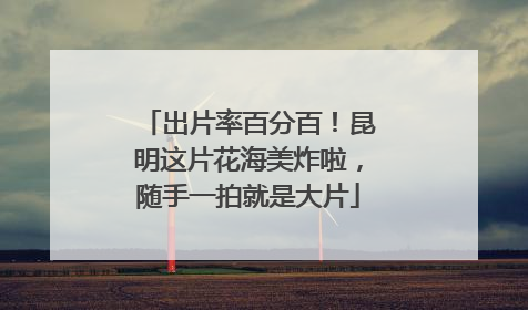 出片率百分百！昆明这片花海美炸啦，随手一拍就是大片
