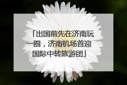 出国前先在济南玩一圈，济南机场首迎国际中转旅游团