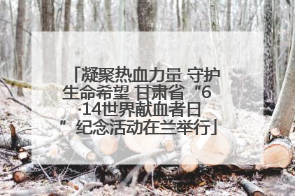 凝聚热血力量 守护生命希望 甘肃省“6 ·14世界献血者日”纪念活动在兰举行