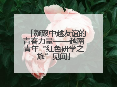 凝聚中越友谊的青春力量——越南青年“红色研学之旅”见闻