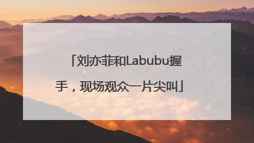 刘亦菲和Labubu握手，现场观众一片尖叫