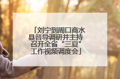 刘宁到周口商水县督导调研并主持召开全省“三夏”工作视频调度会