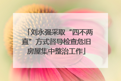 刘永强采取“四不两直”方式督导检查危旧房屋集中整治工作