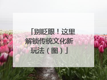 别眨眼！这里解锁传统文化新玩法（图）