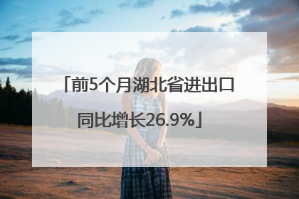 前5个月湖北省进出口同比增长26.9%