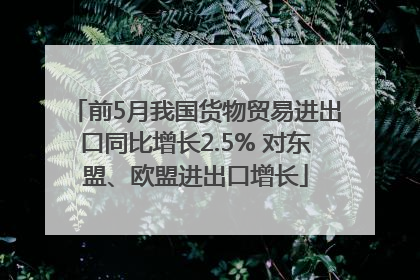 前5月我国货物贸易进出口同比增长2.5% 对东盟、欧盟进出口增长