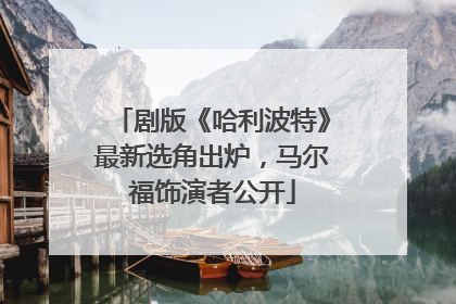 剧版《哈利波特》最新选角出炉，马尔福饰演者公开