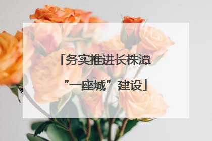 务实推进长株潭“一座城”建设