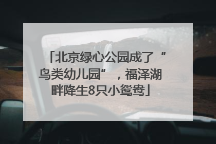 北京绿心公园成了“鸟类幼儿园”，福泽湖畔降生8只小鸳鸯