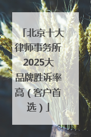 北京十大律师事务所2025大品牌胜诉率高（客户首选）