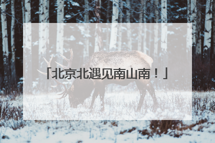 北京北遇见南山南！