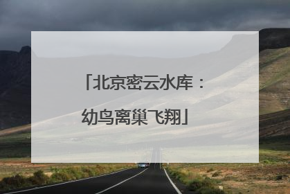 北京密云水库：幼鸟离巢飞翔
