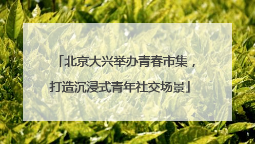 北京大兴举办青春市集，打造沉浸式青年社交场景