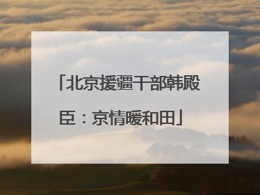 北京援疆干部韩殿臣：京情暖和田