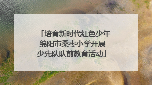 培育新时代红色少年 绵阳市桑枣小学开展少先队队前教育活动