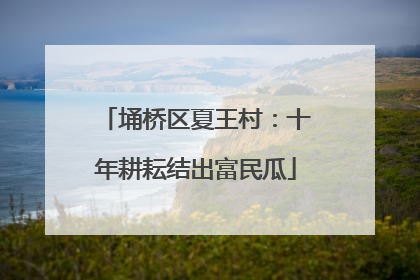 埇桥区夏王村：十年耕耘结出富民瓜