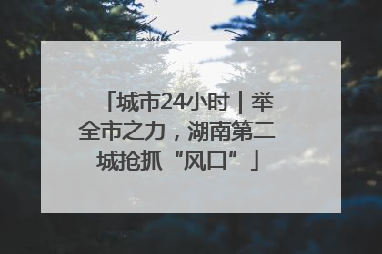 城市24小时｜举全市之力，湖南第二城抢抓“风口”