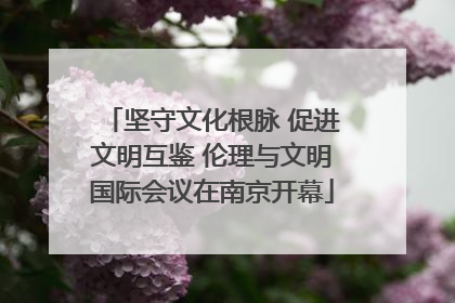 坚守文化根脉 促进文明互鉴 伦理与文明国际会议在南京开幕