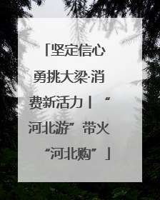 坚定信心 勇挑大梁·消费新活力丨“河北游”带火“河北购”