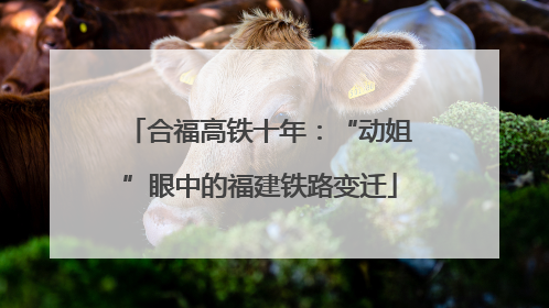 合福高铁十年：“动姐”眼中的福建铁路变迁