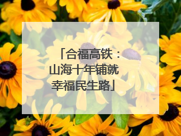 合福高铁：山海十年铺就幸福民生路