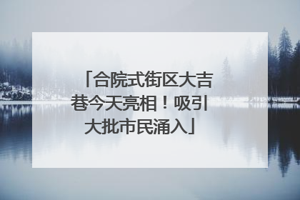 合院式街区大吉巷今天亮相！吸引大批市民涌入