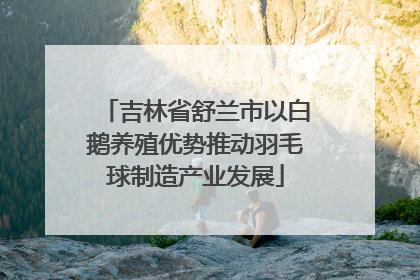 吉林省舒兰市以白鹅养殖优势推动羽毛球制造产业发展
