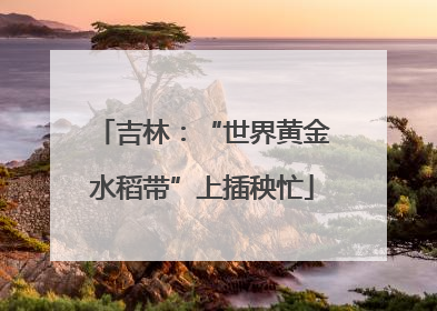 吉林：“世界黄金水稻带”上插秧忙