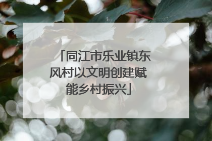 同江市乐业镇东风村以文明创建赋能乡村振兴