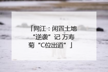 同江：闲置土地“逆袭”记 万寿菊“C位出道”