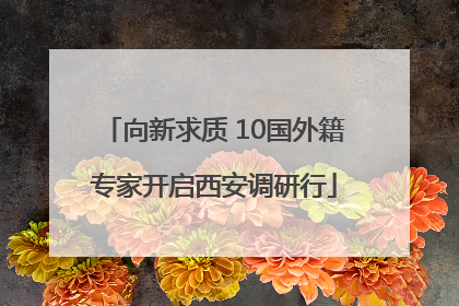 向新求质 10国外籍专家开启西安调研行