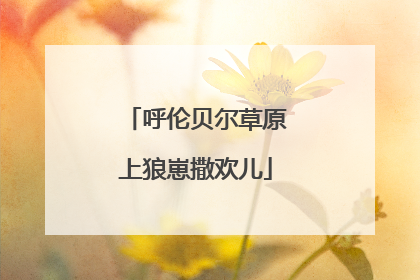 呼伦贝尔草原上狼崽撒欢儿