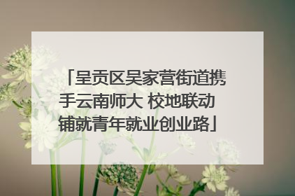 呈贡区吴家营街道携手云南师大 校地联动铺就青年就业创业路