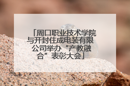 周口职业技术学院与开封住成电装有限 公司举办“产教融合”表彰大会