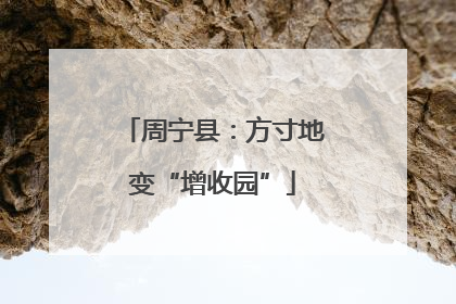 周宁县：方寸地变“增收园”
