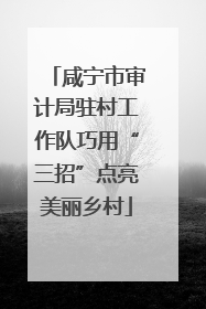 咸宁市审计局驻村工作队巧用“三招”点亮美丽乡村