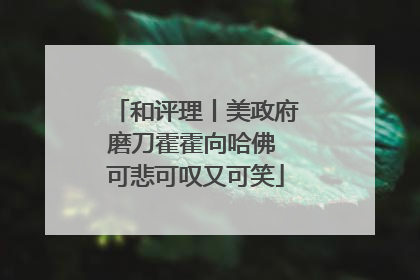 和评理丨美政府磨刀霍霍向哈佛 可悲可叹又可笑