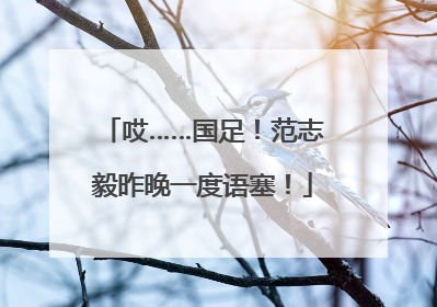 哎……国足！范志毅昨晚一度语塞！