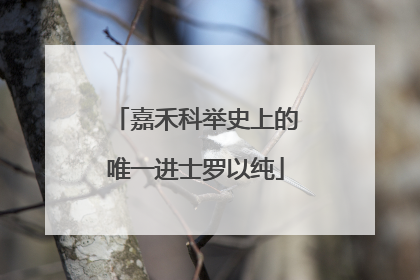 嘉禾科举史上的唯一进士罗以纯