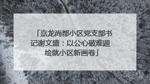 嘉龙尚都小区党支部书记谢文盛：以公心破难题 绘就小区新画卷