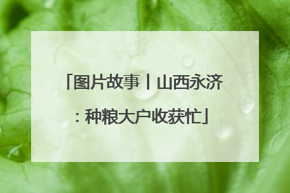 图片故事丨山西永济：种粮大户收获忙