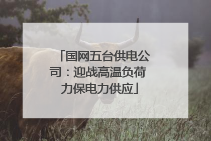 国网五台供电公司：迎战高温负荷 力保电力供应