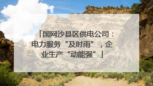 国网沙县区供电公司：电力服务“及时雨”，企业生产“动能强”