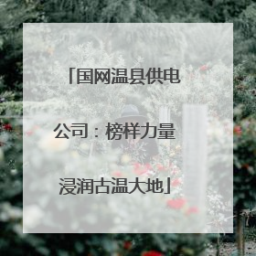 国网温县供电公司：榜样力量浸润古温大地